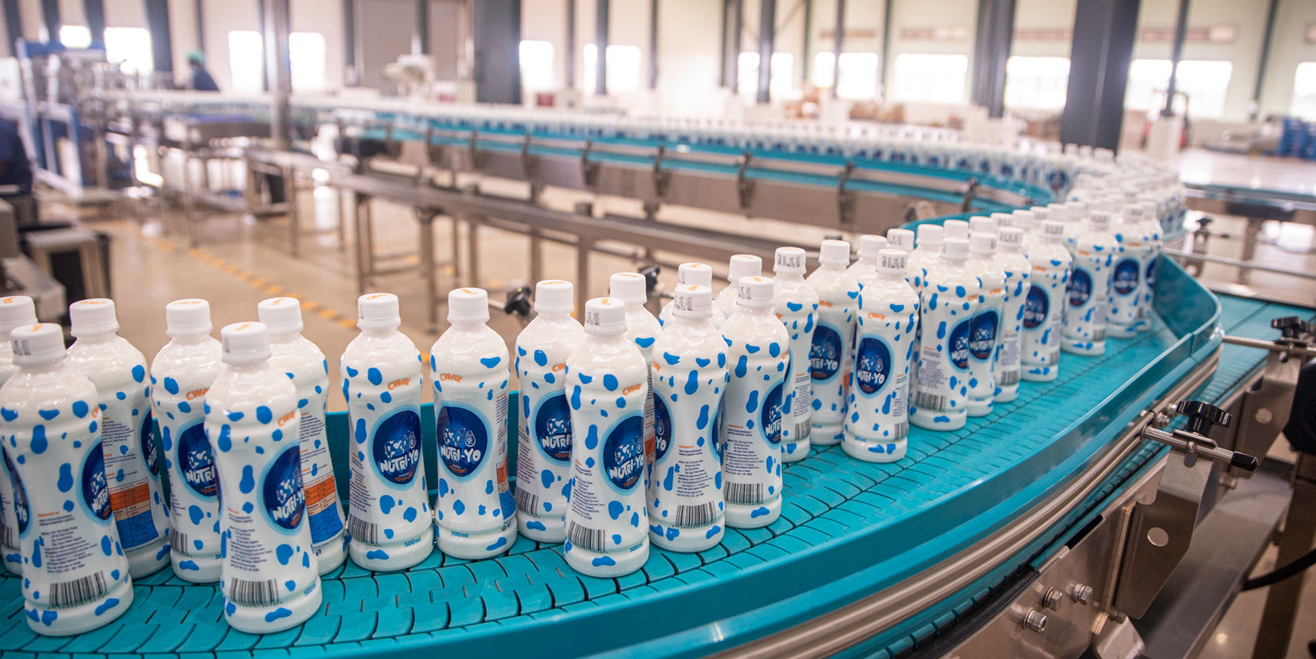 Cway Nutri-Yo Yoghurt